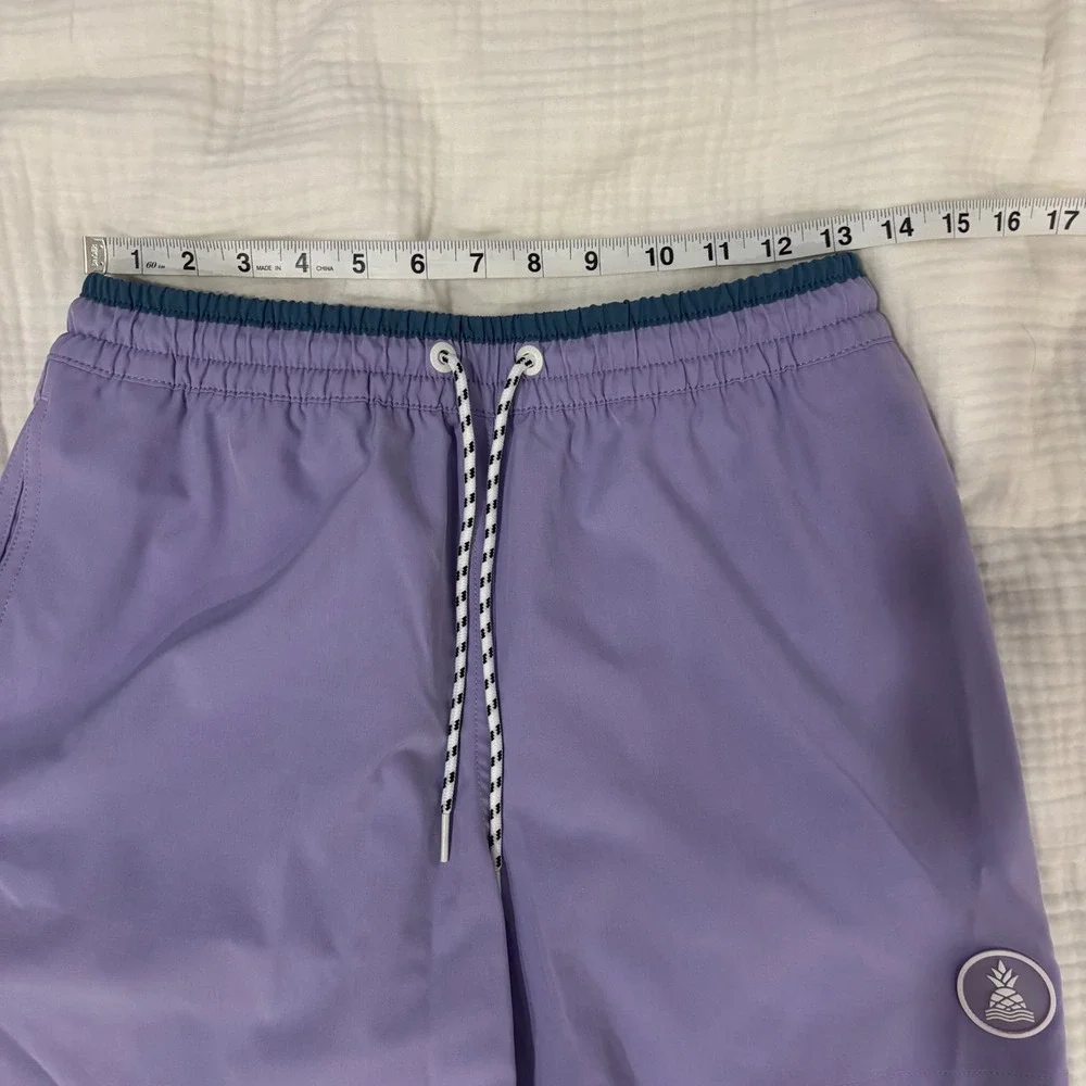 Chubbies Mens Purple Swim Trunks 4.5 Inch Inseam Mesh Lined Shorts Small